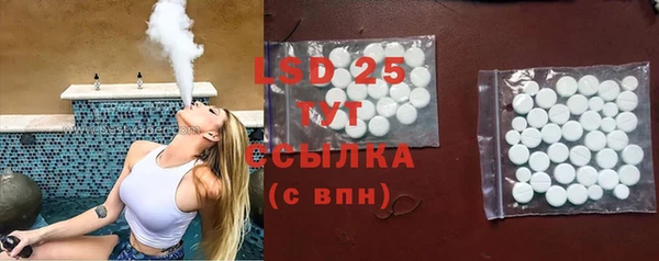 индика Костерёво