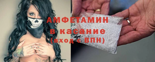 индика Костерёво