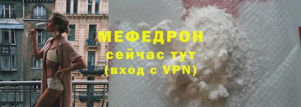 индика Костерёво