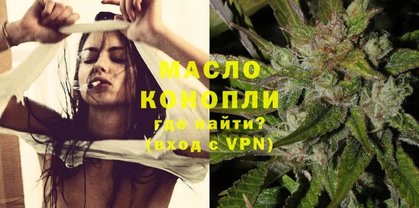 индика Костерёво