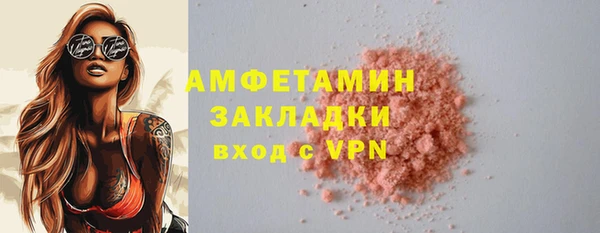 индика Костерёво