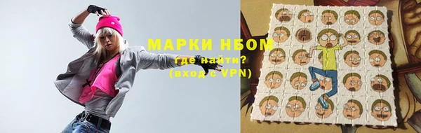 индика Костерёво