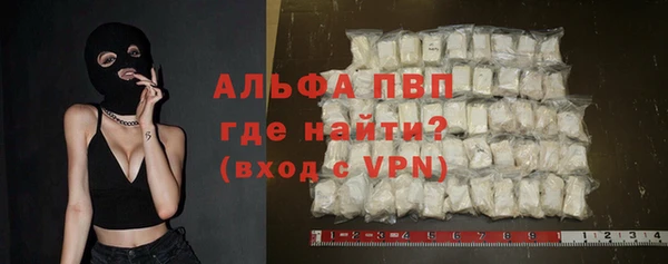 индика Костерёво