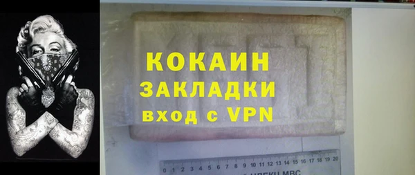 индика Костерёво