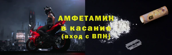 индика Костерёво
