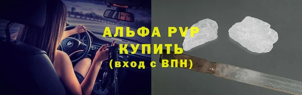индика Костерёво