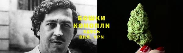 индика Костерёво