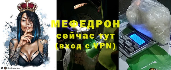 индика Костерёво