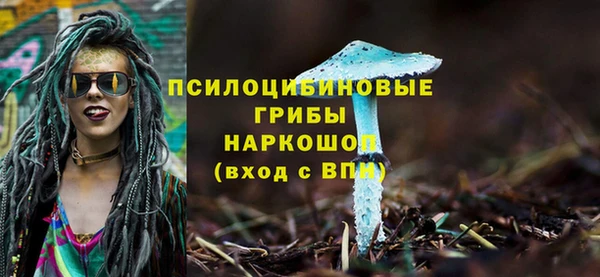альфа пвп Корсаков