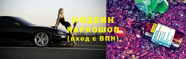 индика Костерёво