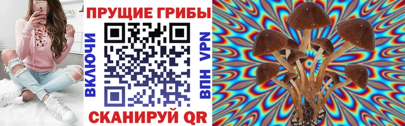 Купить закладки  Шагонар  Галлюциногенные грибы ЛСД 